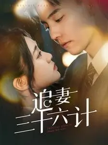 三十六计追妻大作战：看他如何用幽默与真诚赢回爱人的心！