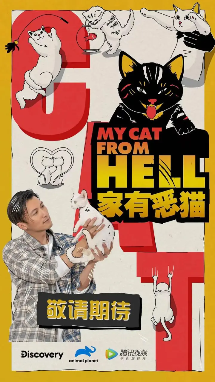 《家有恶猫》：爆笑来袭！当熊孩子遇上捣蛋猫，一场鸡飞狗跳的欢乐大作战！
